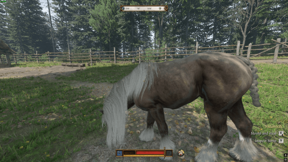 cavalli Kingdom come: deliverance 2