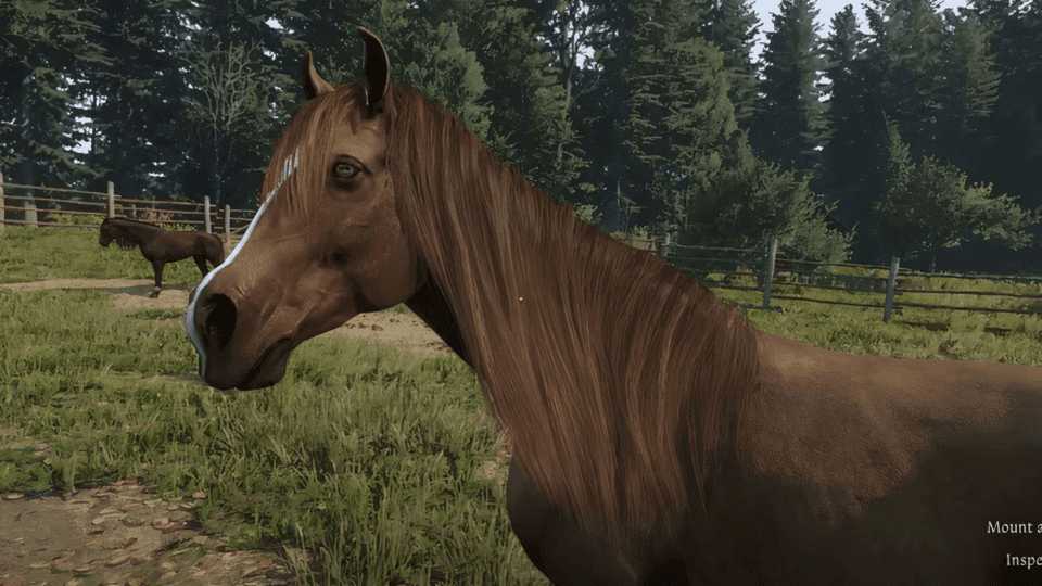 cavalli Kingdom come: deliverance 2